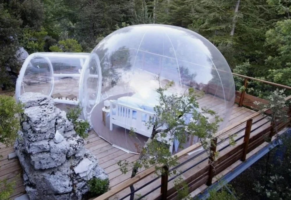 stargazing bubble dome tent